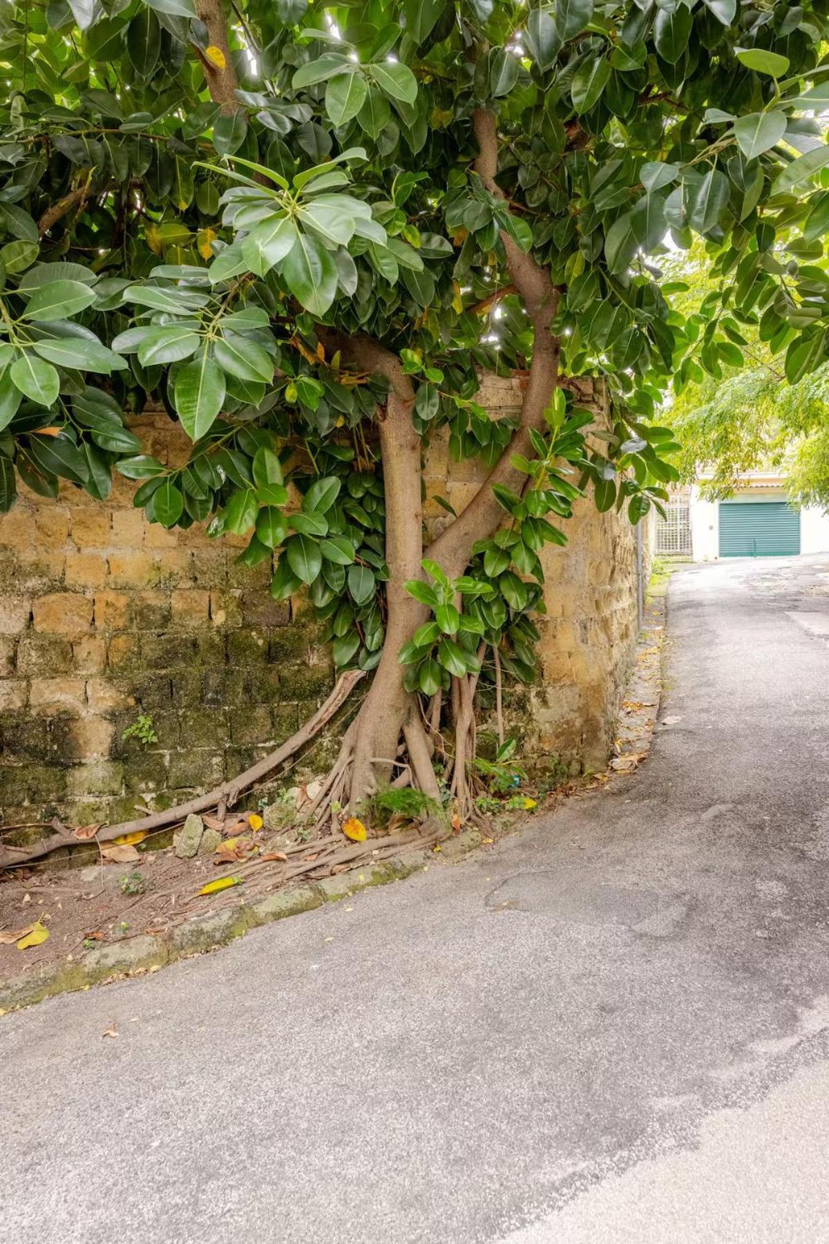 Crispi 74.1 - * Naples